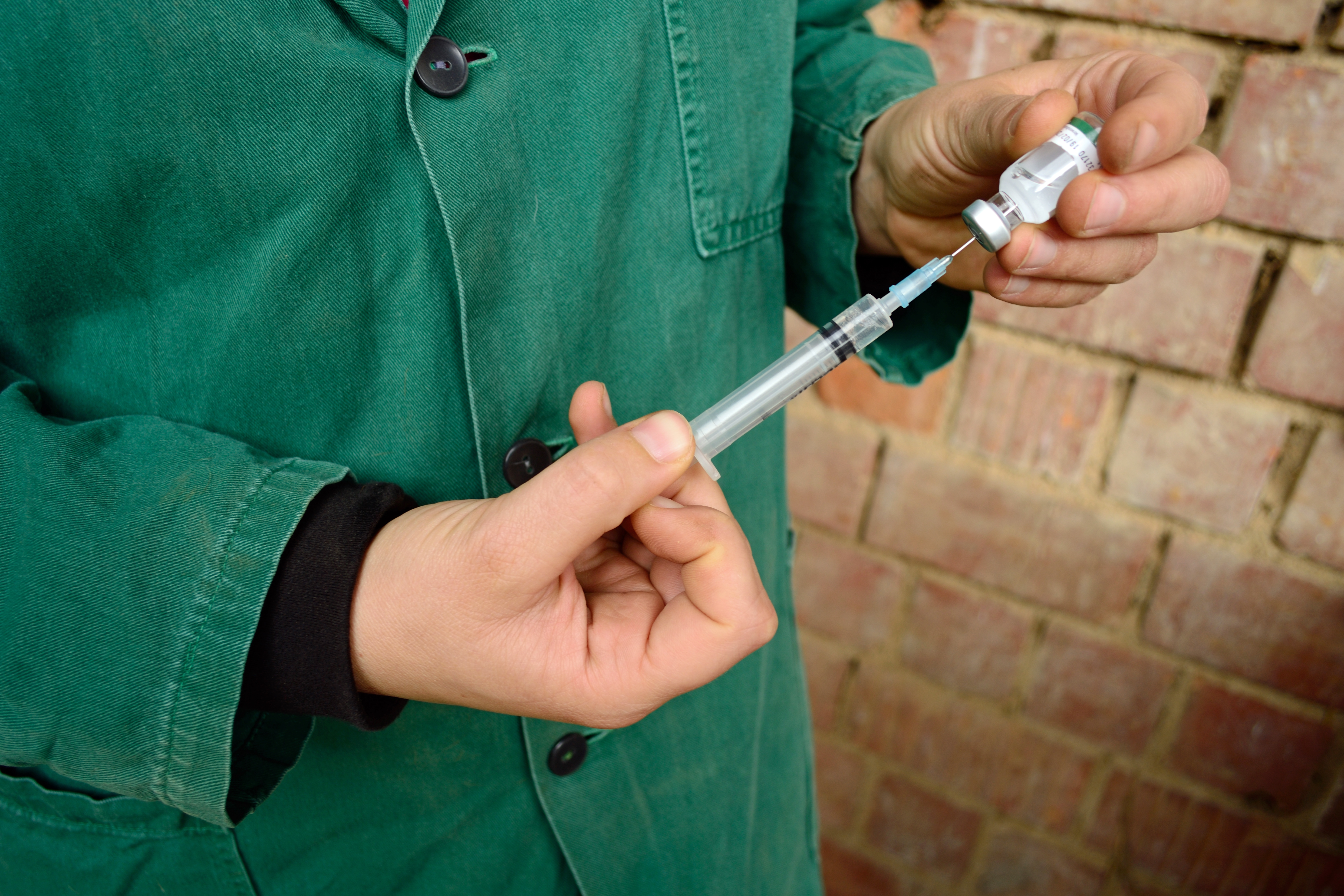 seringue vétérinaire vaccin
